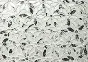 P1064530.webp