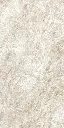 5_3a8fada5-c5d3-4deb-aeb5-6afc425f11cf_580x_crop_center.webp