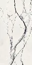 1_301168d2-bb53-4e0c-9a64-49a5e6cd08b7_580x_crop_center.webp