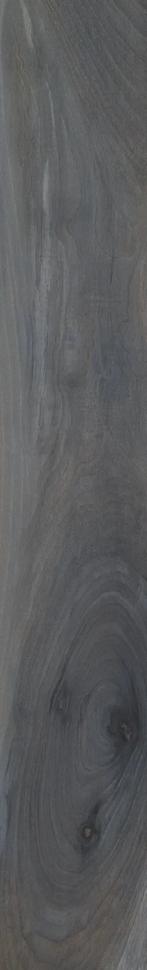 Kauri Tasman Lap