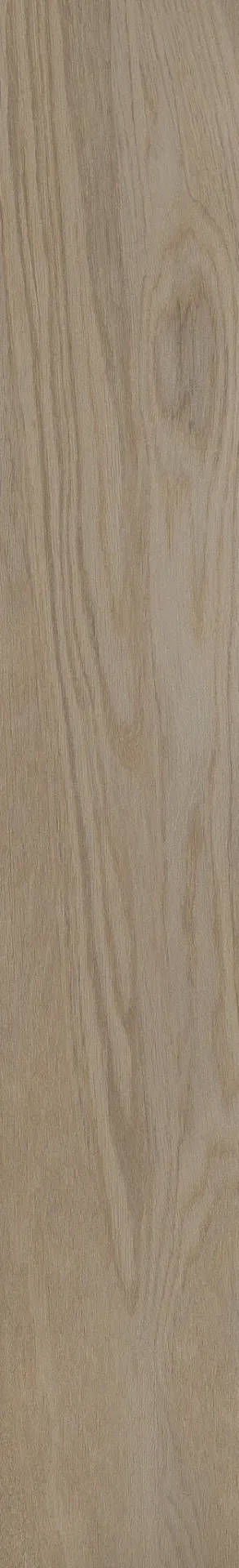 Robur Rettificato - 6.3"x38"