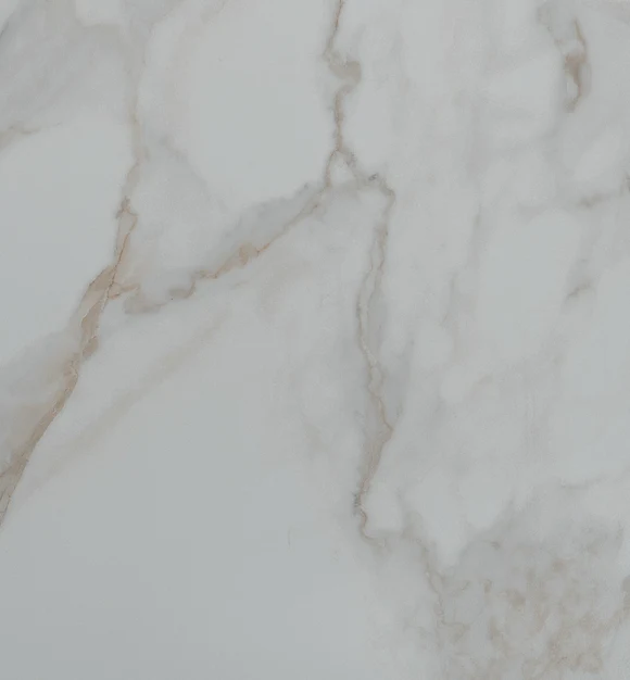 Calacatta Oro 20"x20" - Cinca