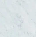 Carrara Venatino Honed 12"x12"