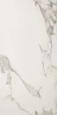 Neo Alfresco Carrara Polished 24"x48"