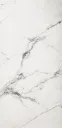Olympus White Polished 24"x48"