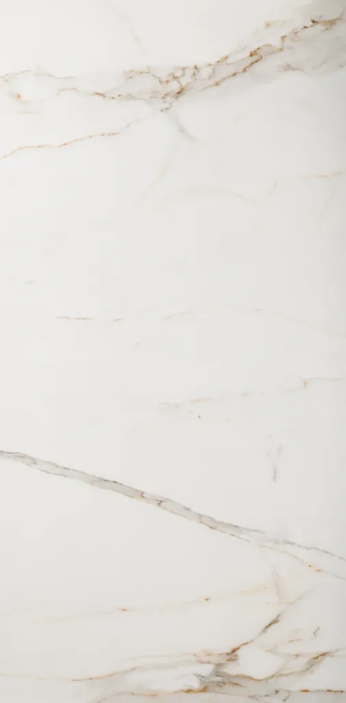 Regal Carrara Matte 24"x48"