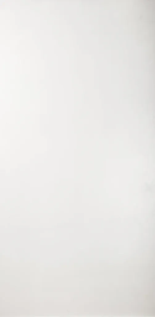 Super White Matte 24"x48"