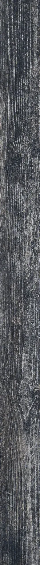 Pepper Rett - NovaBell