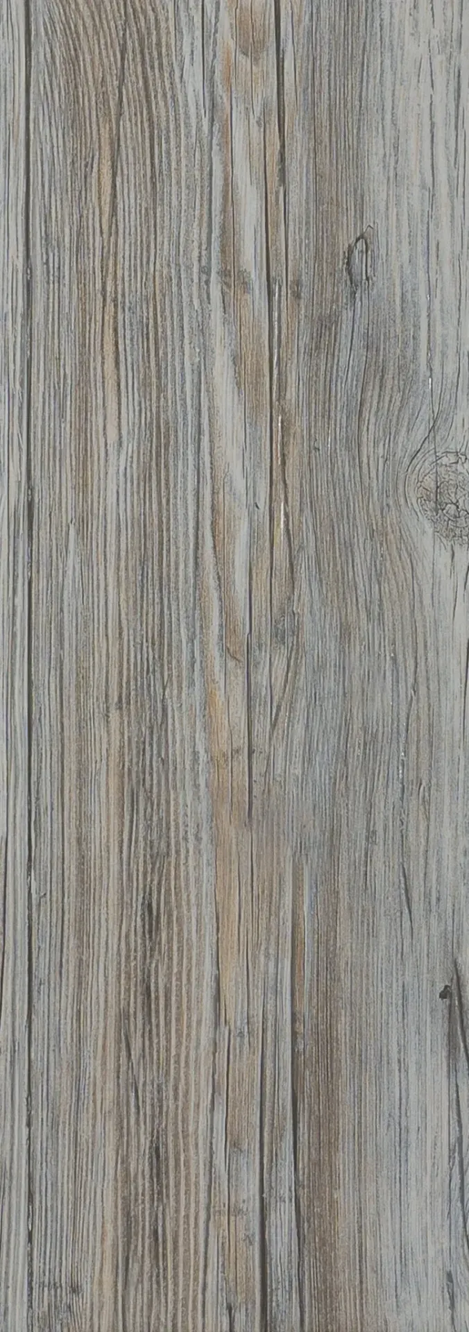 Sea Wood White - Venus